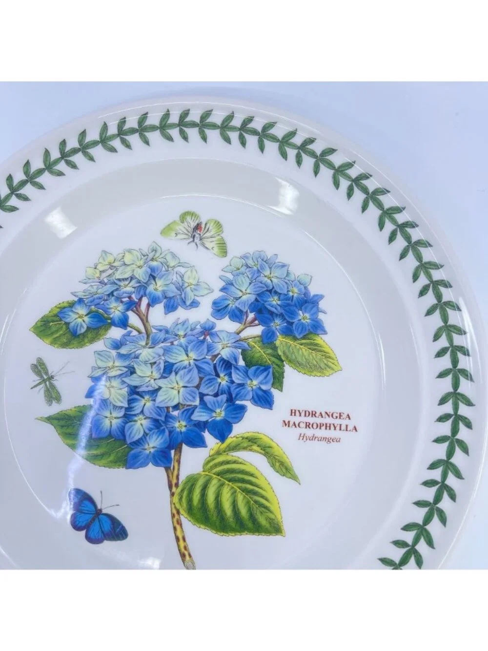 vintage portmeirion botanic garden hydrangea macrophylla plate 10 1/2